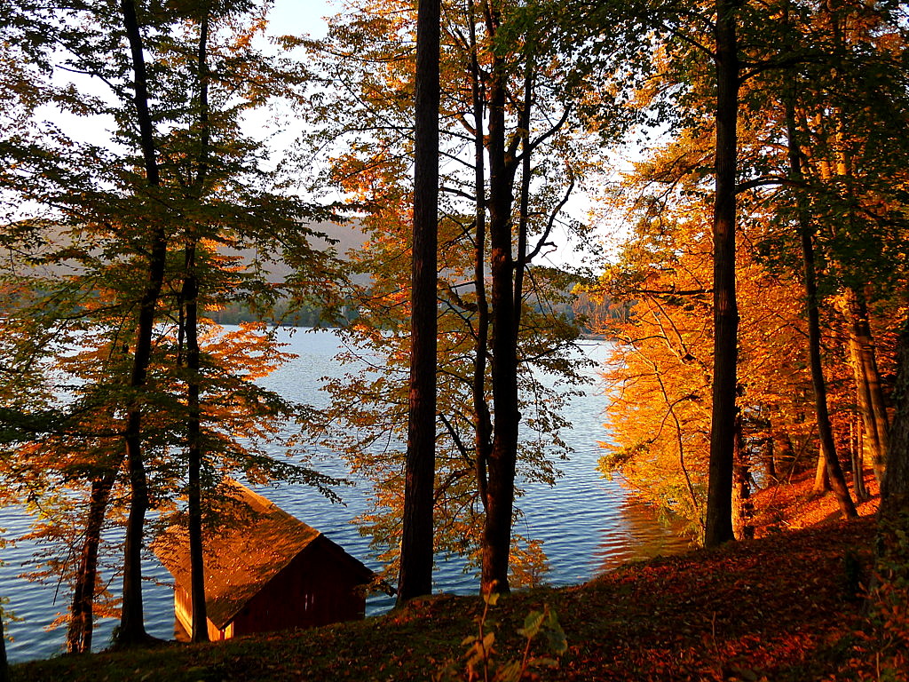 Bled Lake